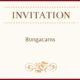 Invită membrii în private chat cu ajutorul noii funcții de pe Bongacams bongacams camsite Bongacams Camsite Invitation Bongacams 5 80x80