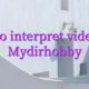 Devino interpret videochat Mydirhobby
