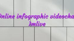 Online infographic videochat Imlive