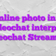 Online photo info videochat interpret videochat Streamray