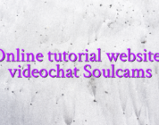 Online tutorial websites videochat Soulcams