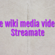 Online wiki media videochat Streamate