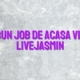 Cel mai bun job de acasa videochat LiveJasmin