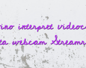 Devino interpret videochat fata webcam Streamray