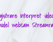 Inregistrare interpret videochat model webcam Streamray