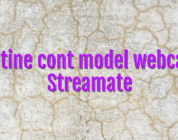 Obtine cont model webcam Streamate