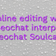 Online editing wiki videochat interpret videochat Soulcams