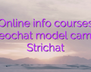 Online info courses videochat model camgirl Strichat