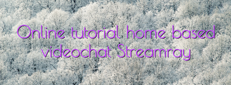 Online tutorial home based videochat Streamray