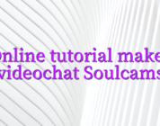 Online tutorial maker videochat Soulcams