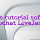 Online tutorial software videochat LiveJasmin