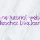 Online tutorial websites videochat LiveJasmin