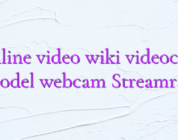 Online video wiki videochat model webcam Streamray