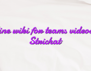 Online wiki for teams videochat Strichat