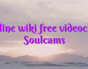 Online wiki free videochat Soulcams
