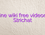 Online wiki free videochat Strichat