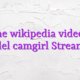 Online wikipedia videochat model camgirl Streamate