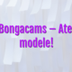 Stiri Bongacams – Atenție, modele! bongacams camsite Bongacams Camsite stiri bongacams aten  ie modele 80x80