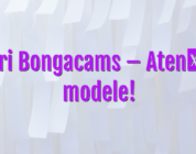 Stiri Bongacams – Atenție, modele!