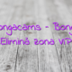 Stiri Bongacams – BongaCams Elimină zona VIP
