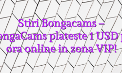 Stiri Bongacams – BongaCams plateste 1 USD pe ora online in zona VIP!