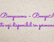 Stiri Bongacams – BongaModels este azi disponibil în germană!