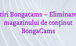 Stiri Bongacams – Eliminarea magazinului de conținut BongaCams