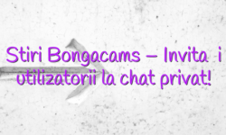 Stiri Bongacams – Invitați utilizatorii la chat privat!