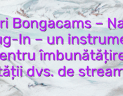 Stiri Bongacams – Nano Plug-In – un instrument pentru îmbunătățirea calității dvs. de streaming!