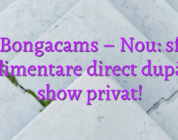 Stiri Bongacams – Nou: sfaturi suplimentare direct după un show privat!