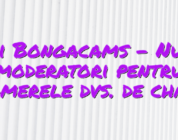 Stiri Bongacams – Numiți moderatori pentru camerele dvs. de chat!
