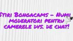 Stiri Bongacams – Numiți moderatori pentru camerele dvs. de chat!