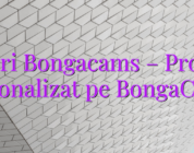 Stiri Bongacams – Profil personalizat pe BongaCams!