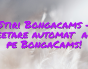 Stiri Bongacams – Tweetare automată acum pe BongaCams!