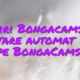 Stiri Bongacams – Tweetare automată acum pe BongaCams!