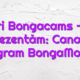 Stiri Bongacams – Vă prezentăm: Canalul Telegram BongaModels! bongacams camsite Bongacams Camsite stiri bongacams v   prezent  m canalul telegram bongamodels 80x80
