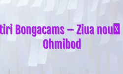 Stiri Bongacams – Ziua nouă – Ohmibod